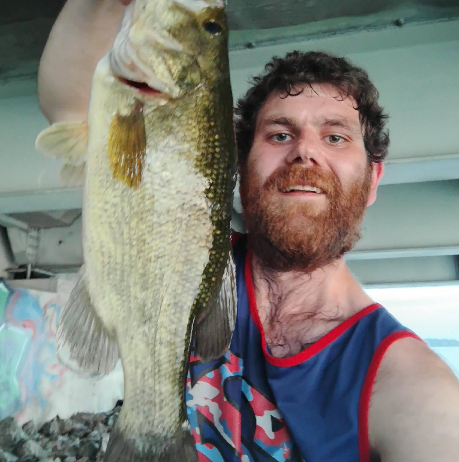 CheddarBaits catch and bait photo